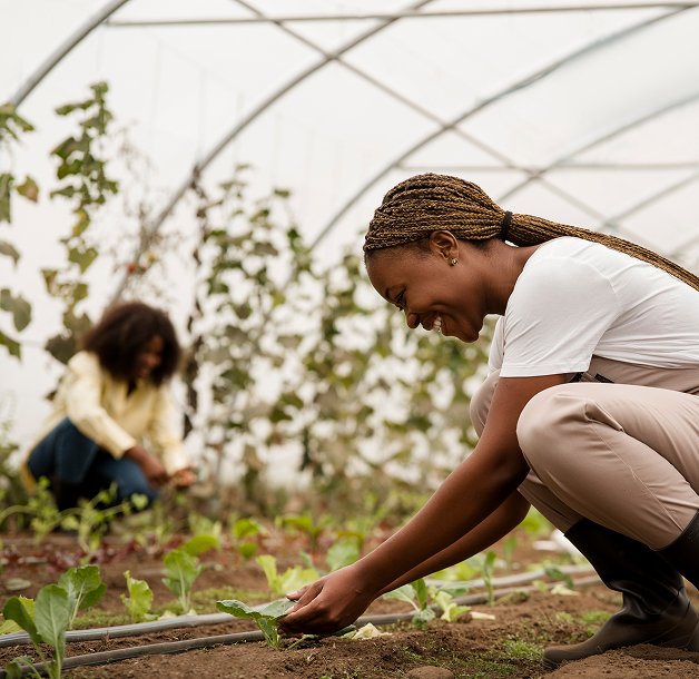 Woman farming in greenhouse